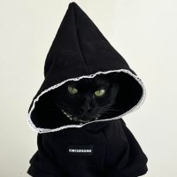 老猫子