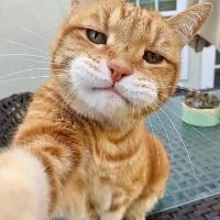 ʀᴇʟᴀᴛᴇ   ʙʀᴏ !