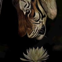 斩虍🐯