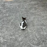 我睡不着