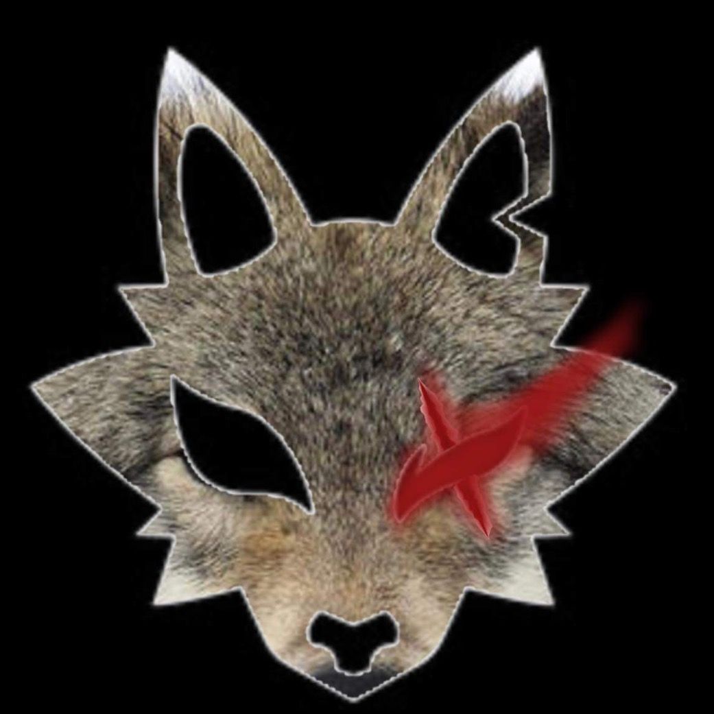 wolfninjaYT